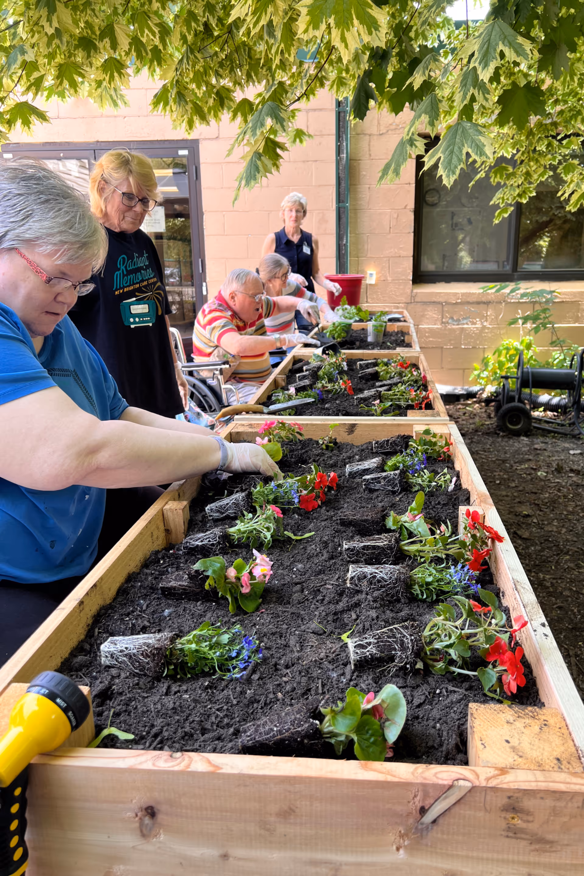 Several elderly individuals are engaged in planting flowers in a raised garden bed outdoors under the shade of a tree. They are carefully placing small plants with visible roots into the soil. The setting appears to be a courtyard or garden area adjacent to a building with windows and a door.