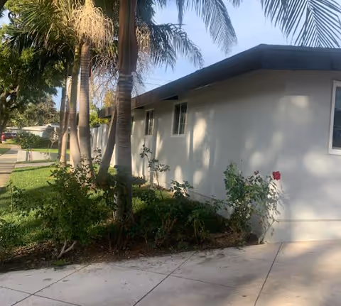 Exterior view of Gordon Lane Care Center with palm trees and landscaped shrubs.