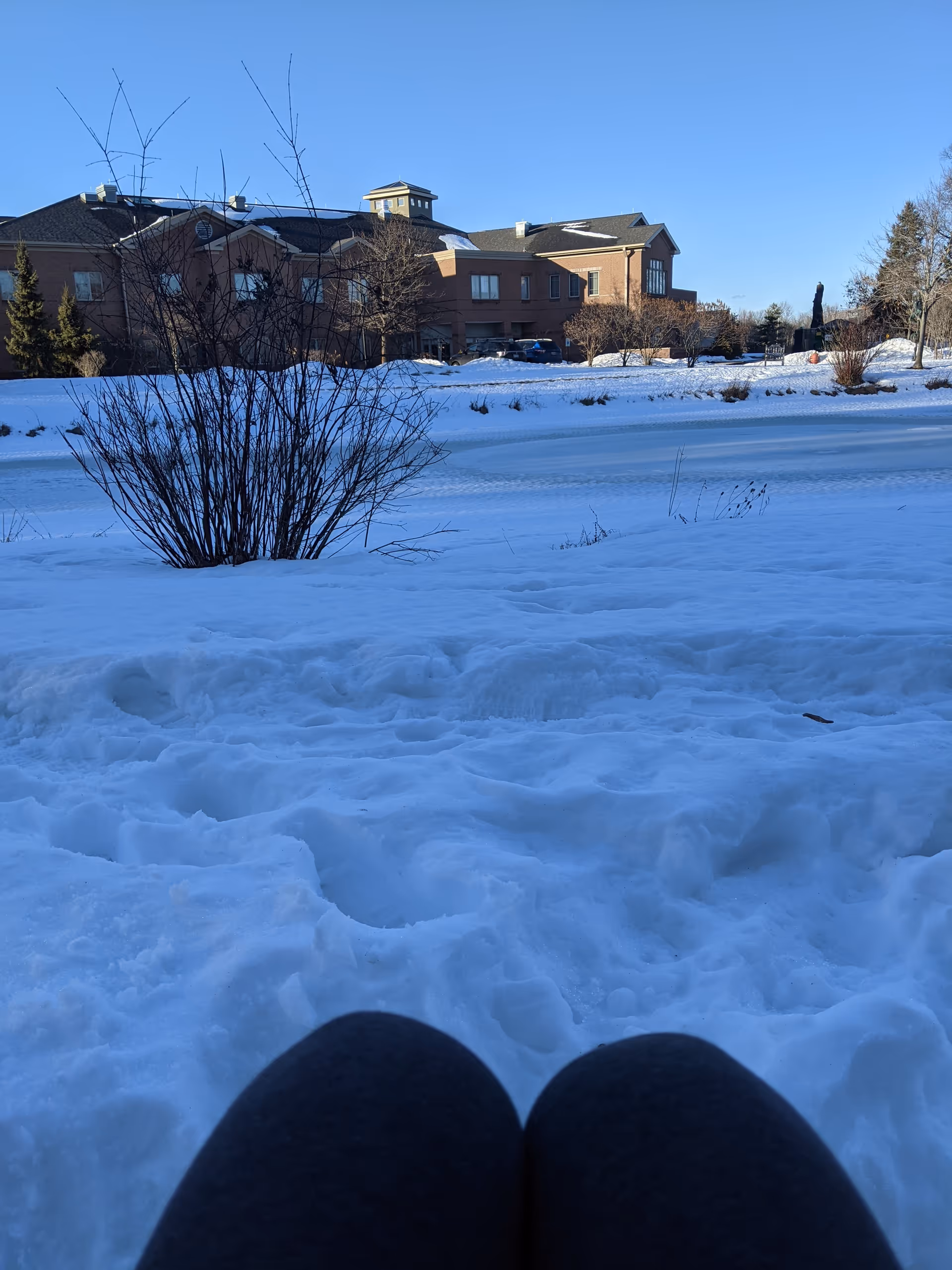 Snow-covered lawn with Arbor Hospice building in distance