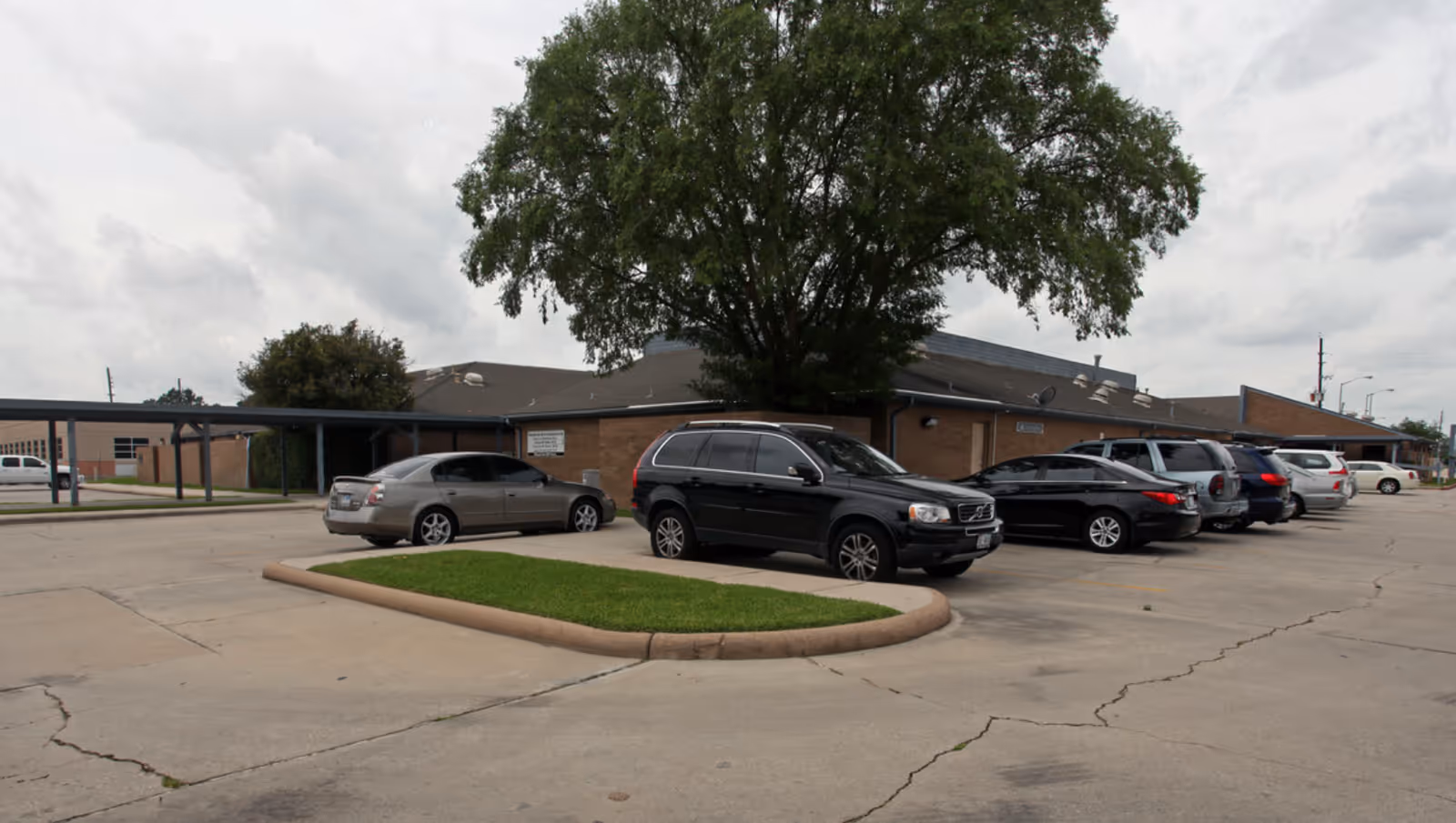 Exterior view of Magnificat Home Healthcare Services facility with a tree and parked cars.