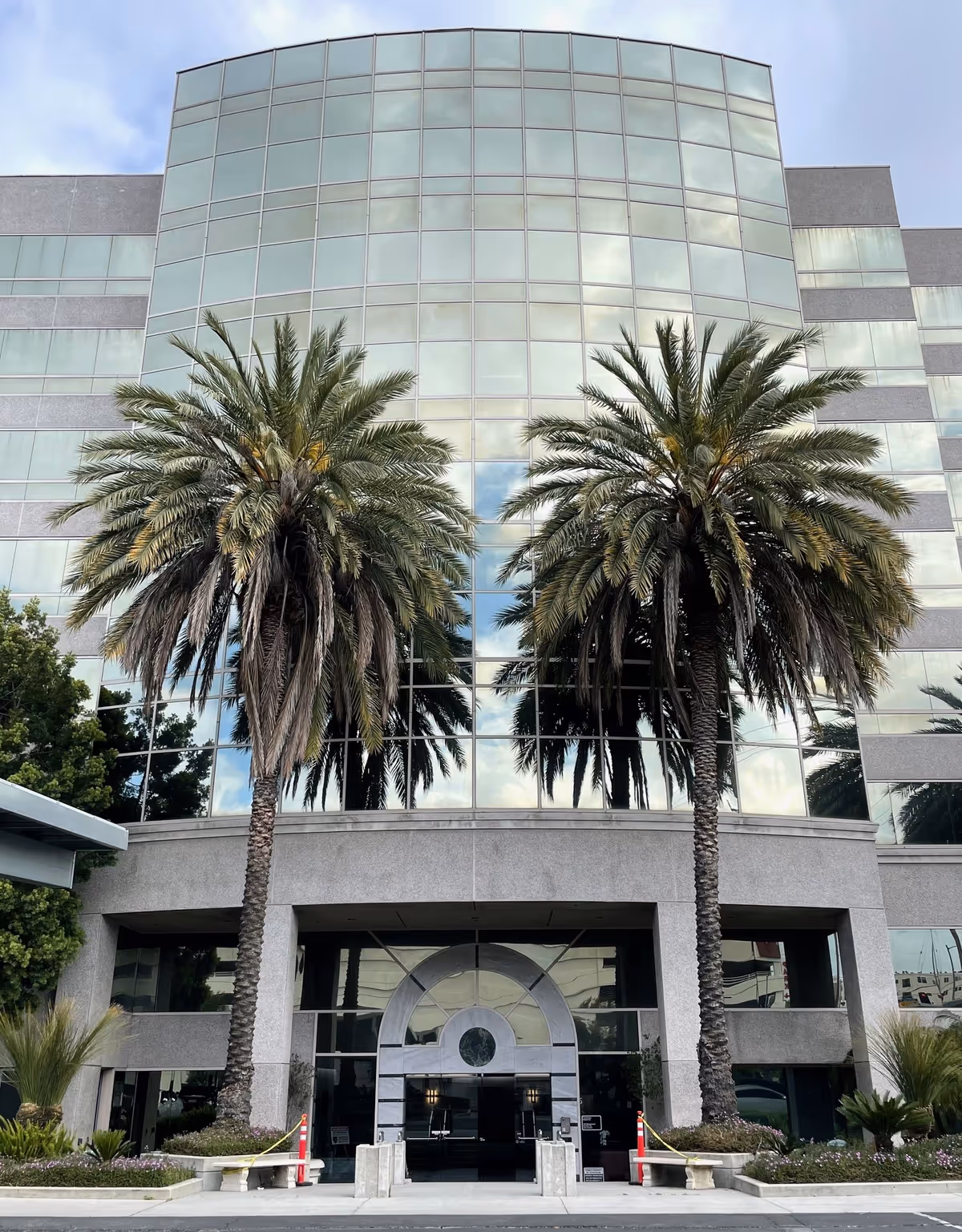 Glass-front office building with two tall palm trees framing the front entrance.
