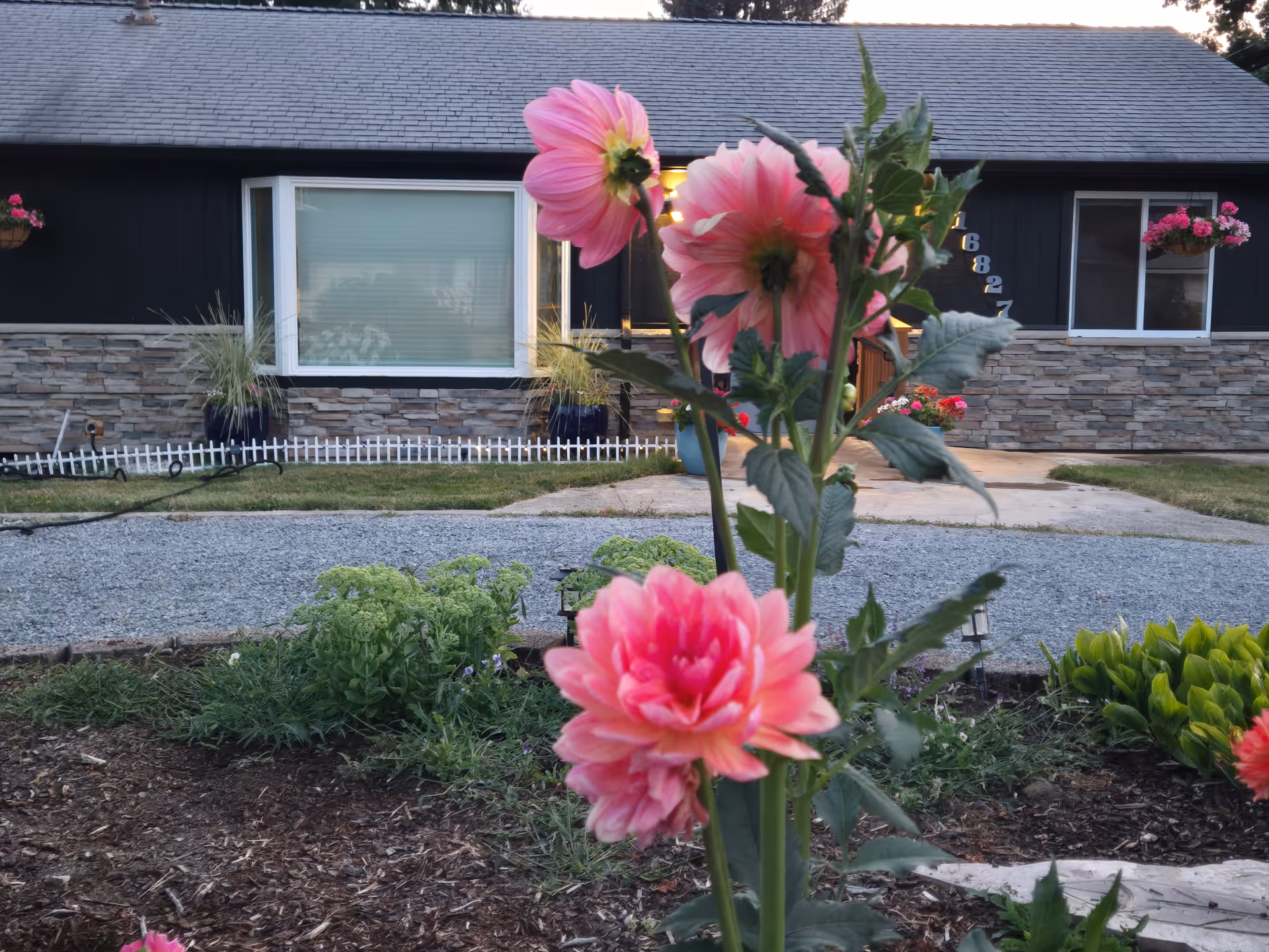 Front exterior of Graceful Care Renton AFH LLC with pink flowers in foreground