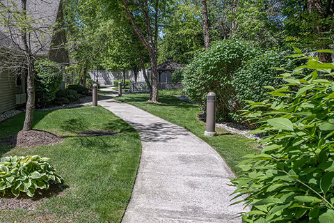 Curving concrete walkway through a lush outdoor courtyard with trees and lampposts.