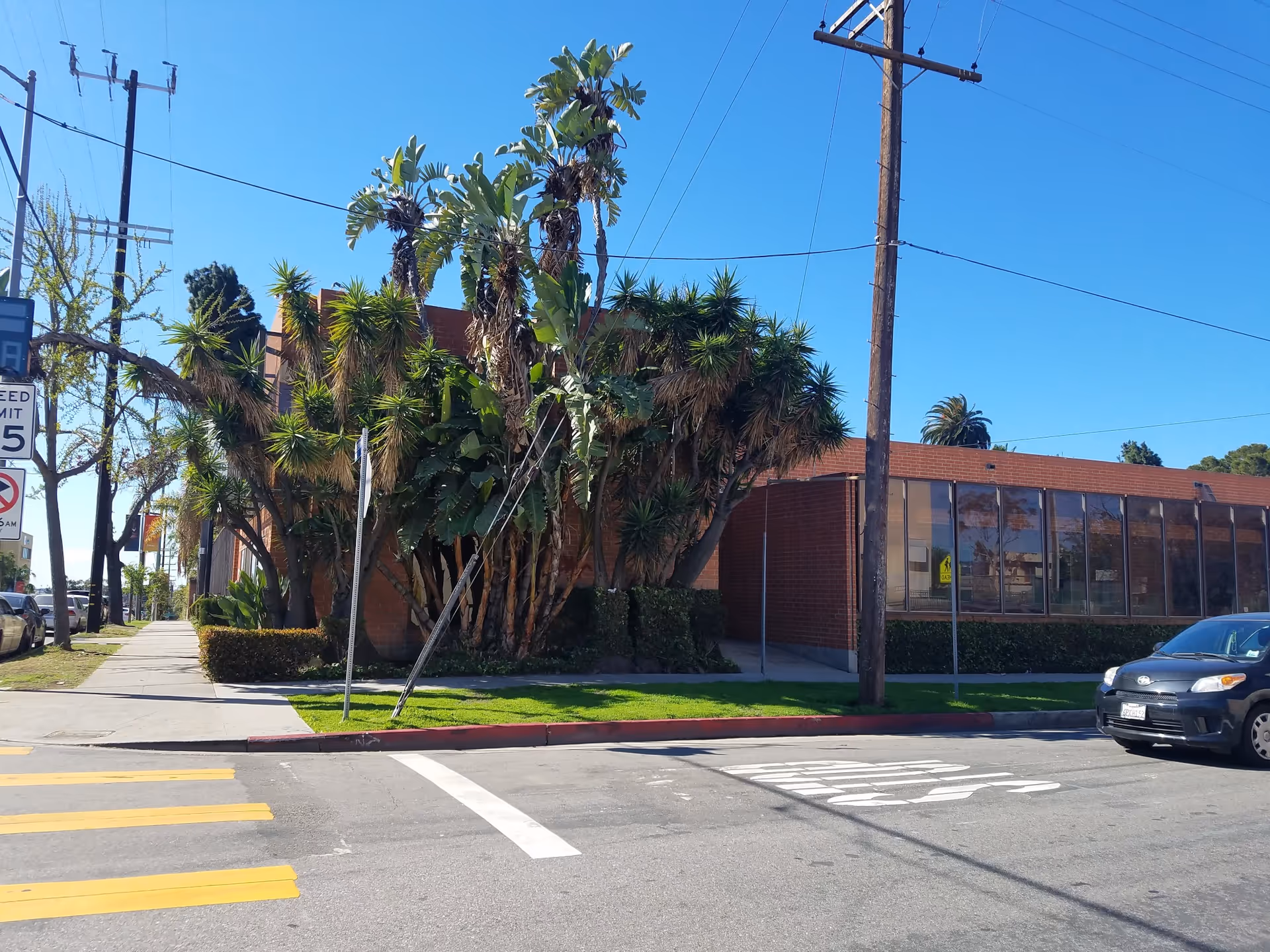 Exterior view of East Terrace Rehabilitation & Wellness Centre along a street with palm trees.