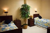 Two single beds with matching quilts flank bedside tables, with a potted plant between.