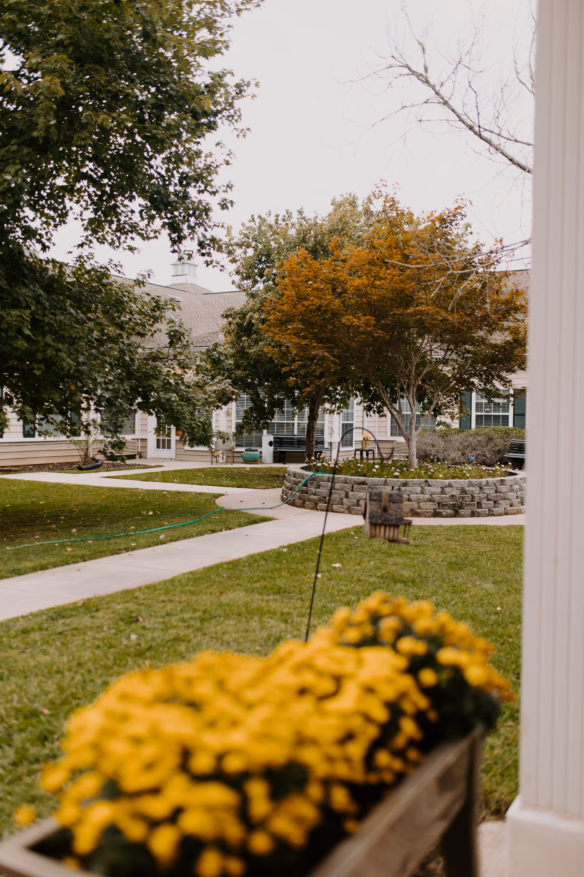 View of a landscaped outdoor area at Oaks at Lake Wildwood featuring a curved concrete walkway, green grass, a raised circular flower bed with a tree showing autumn colors, and a planter with yellow flowers in the foreground. The background includes a building with white siding and multiple windows.