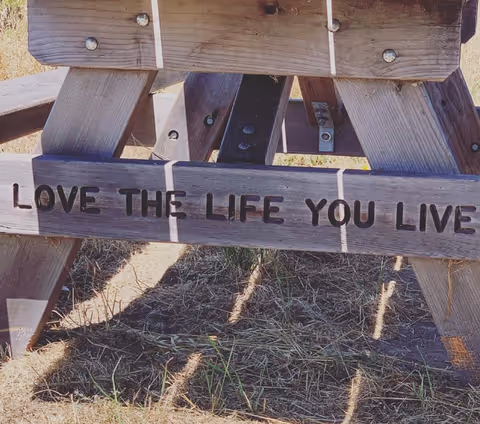 Weathered wooden outdoor structure with a sign reading 'LOVE THE LIFE YOU LIVE'.