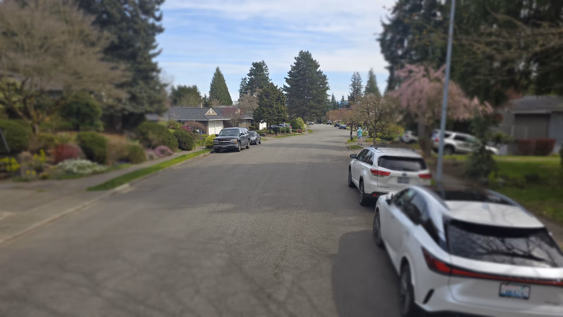 Residential street lined with parked cars and trees in a quiet neighborhood.