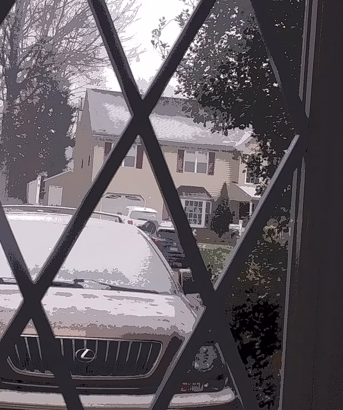 View through a lattice window showing parked cars and a house across the street