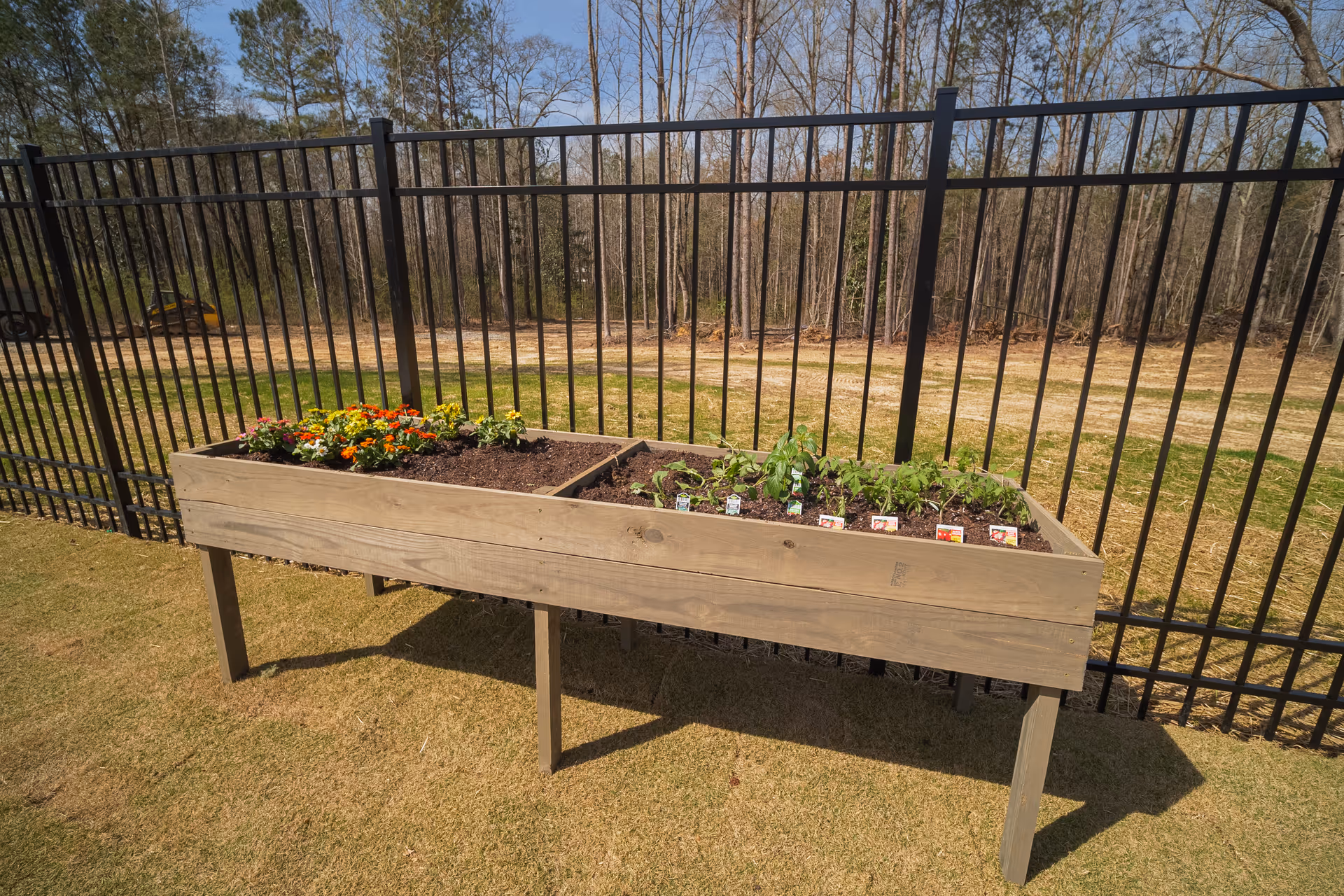 Raised wooden planter with colorful flowers along a black metal fence outdoors.