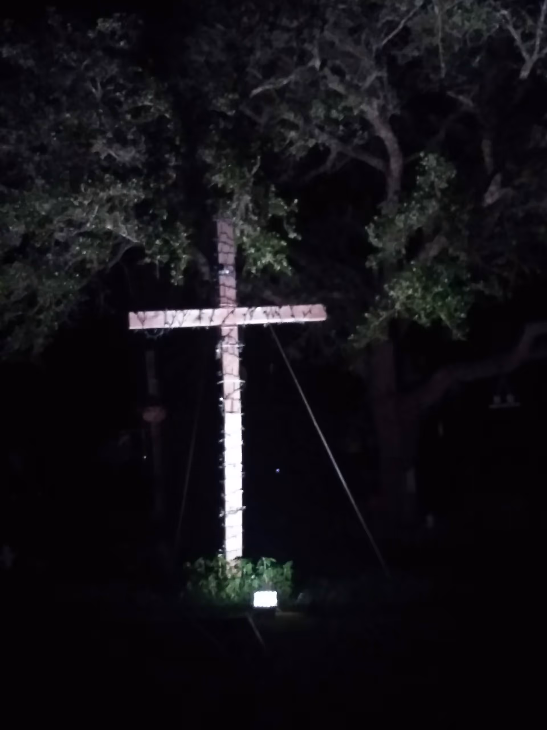 Night scene of a tall lit cross in a yard, surrounded by trees.