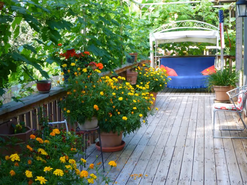 A wooden deck patio with numerous potted plants and flowers along the railing. At the far end, there is a cushioned swing with a blue cover and red pillows under a white canopy. There is also a metal chair with a floral cushion on the right side. The area is shaded by green leafy plants overhead.
