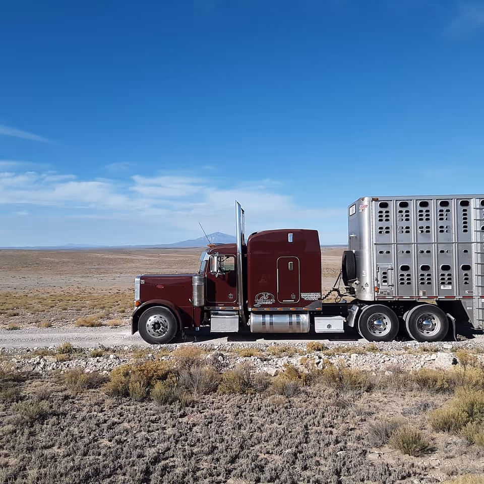 Maroon semi-truck hauling a silver trailer sits on a dusty desert highway under blue sky.