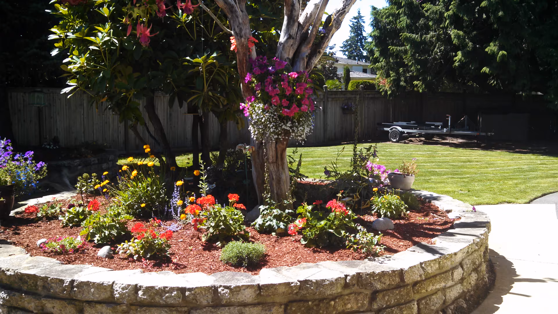 A landscaped garden area with a circular stone border containing various colorful flowers and plants. A tree in the center has hanging flower baskets. In the background, there is a well-maintained lawn, a wooden fence, and some tall trees providing shade.