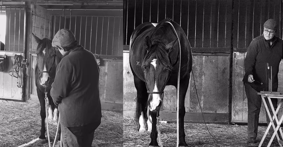Man stands beside horses inside a stable, with a handler nearby.