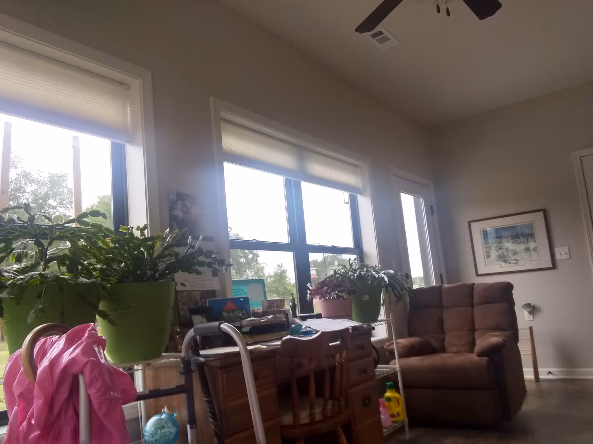 Sunlit living room with large windows, potted plants, a brown recliner, and a walker.
