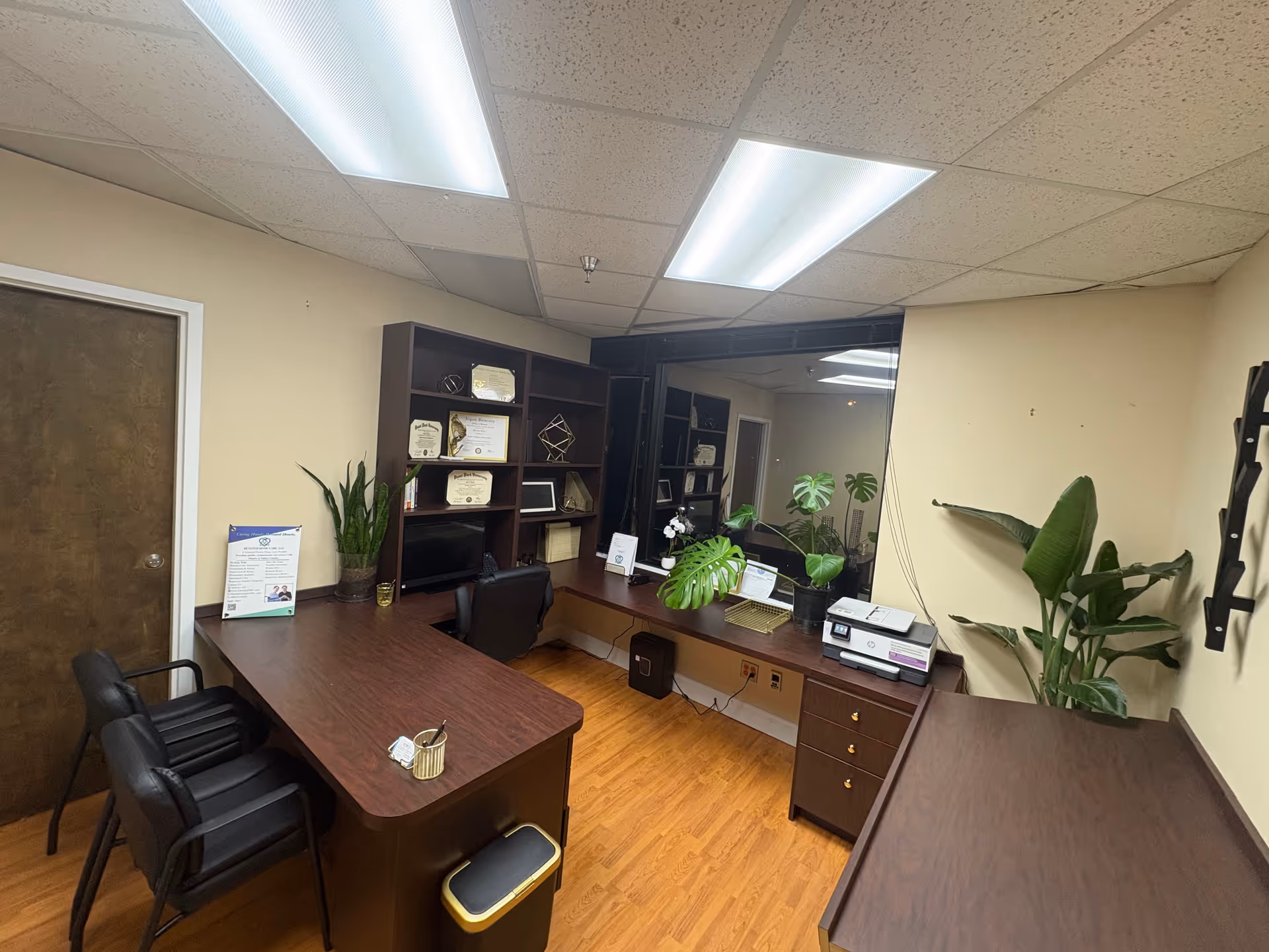 Office reception area with dark wood desk, chairs, shelves, and potted plants.