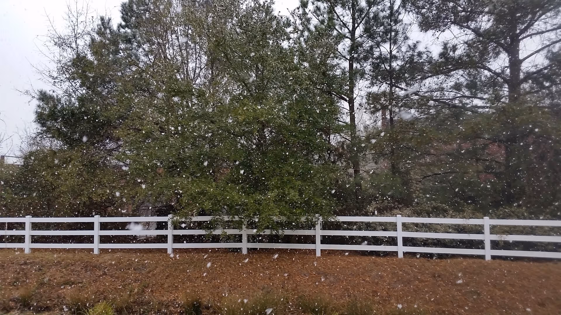 Snow falls over a white fence with trees in a wintry outdoor scene.