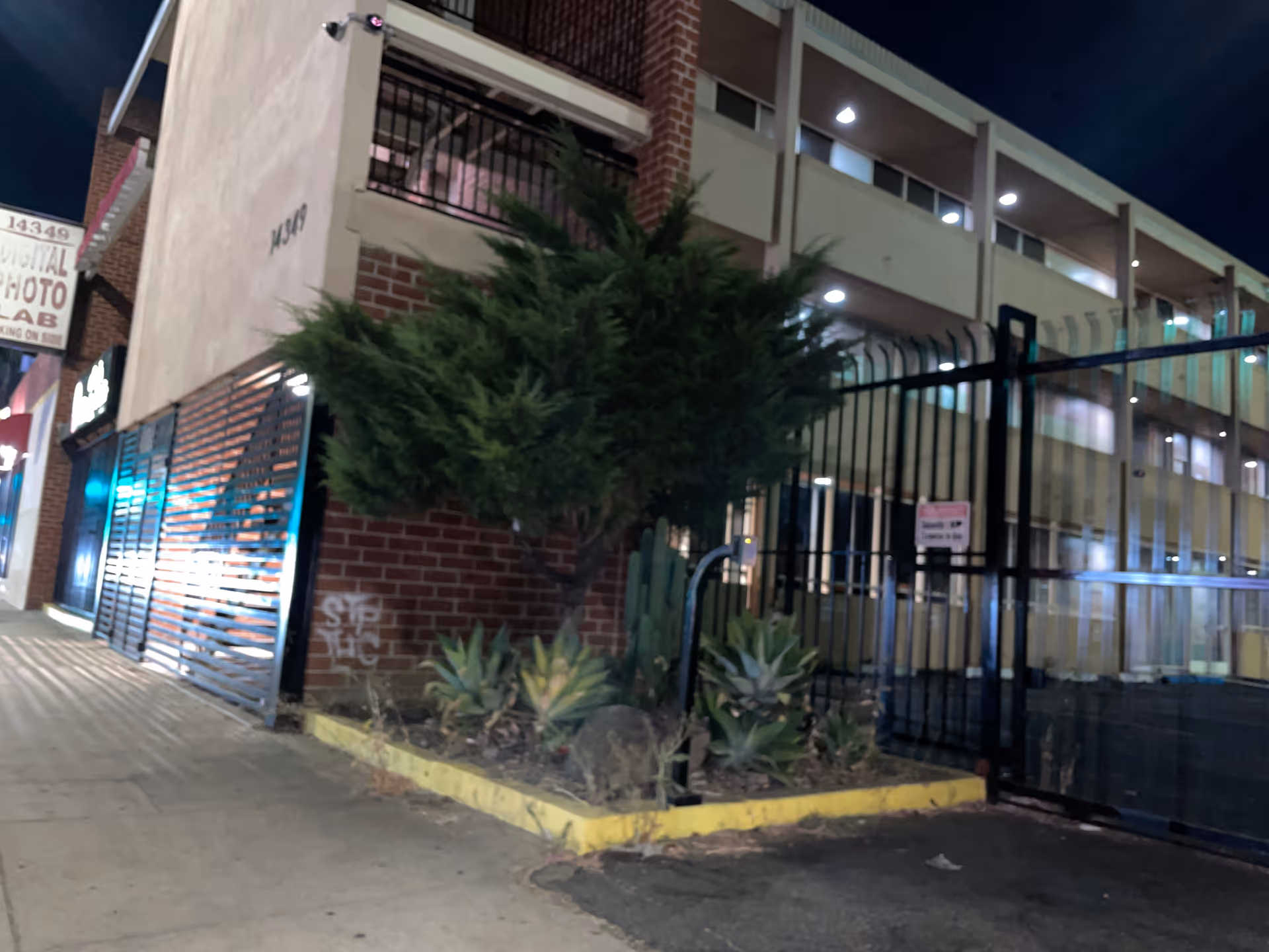 Night exterior view of a gated building entrance with brick wall, fence, and cactus plants.