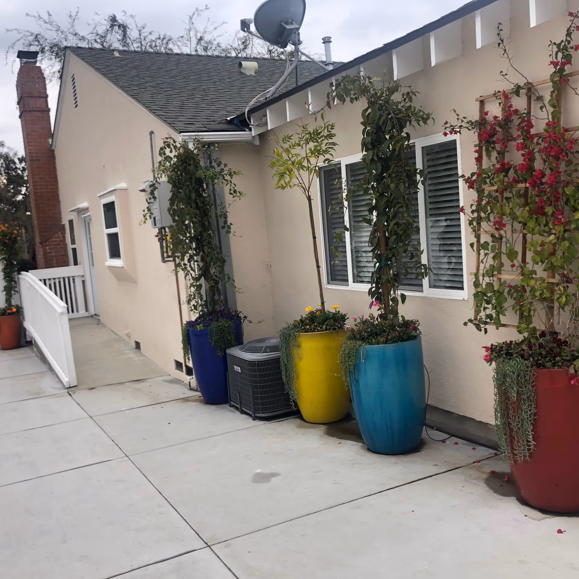 Beige senior living facility exterior with colorful large planters and climbing plants along wall.