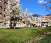 Exterior view of a brick senior housing building with a green lawn and blossoming trees.