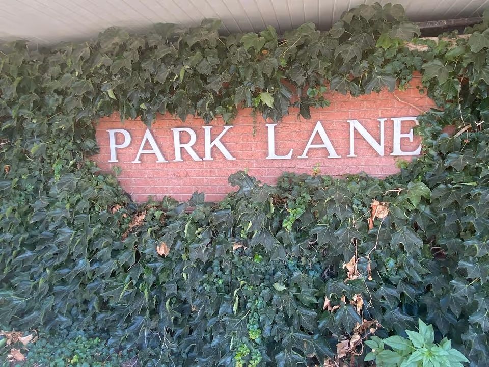 A brick wall partially covered with green ivy leaves with the words 'PARK LANE' displayed prominently in white capital letters.