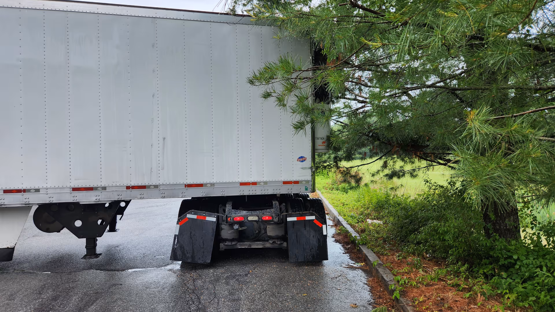 Rear view of a large gray truck trailer parked beside trees and a road.