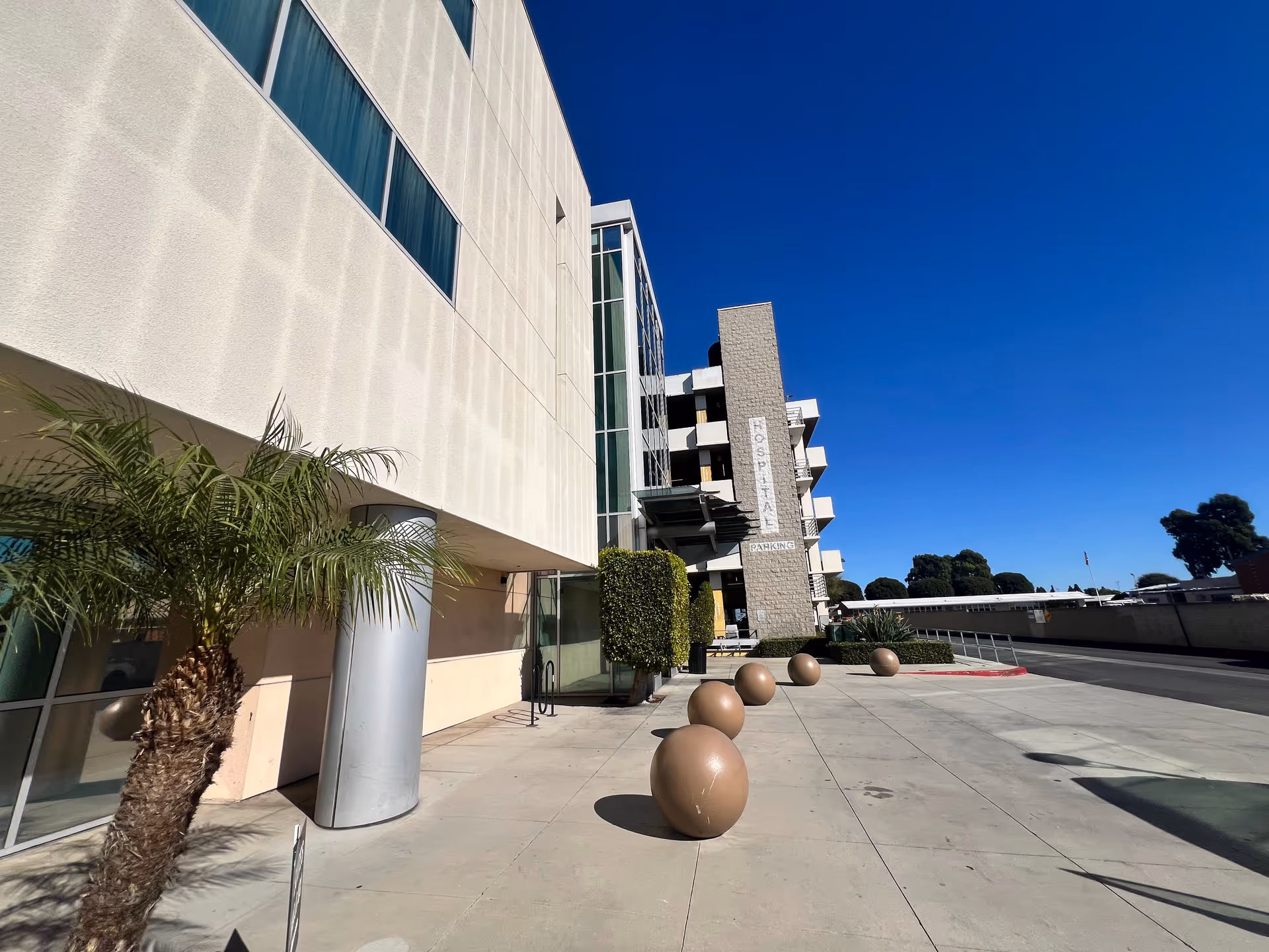 Wide-angle view of a modern building exterior with palm trees and decorative spheres along a walkway.