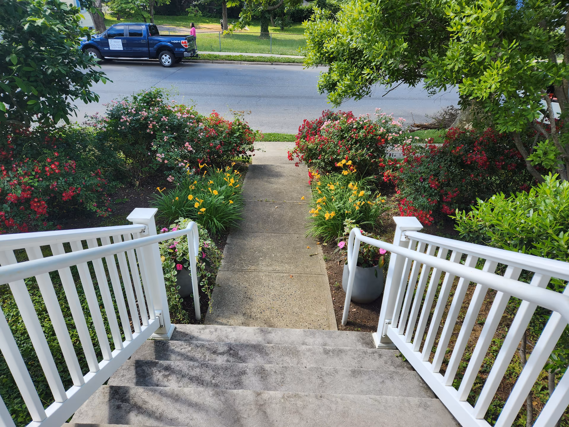 White railings frame a blooming garden path descending to a street.