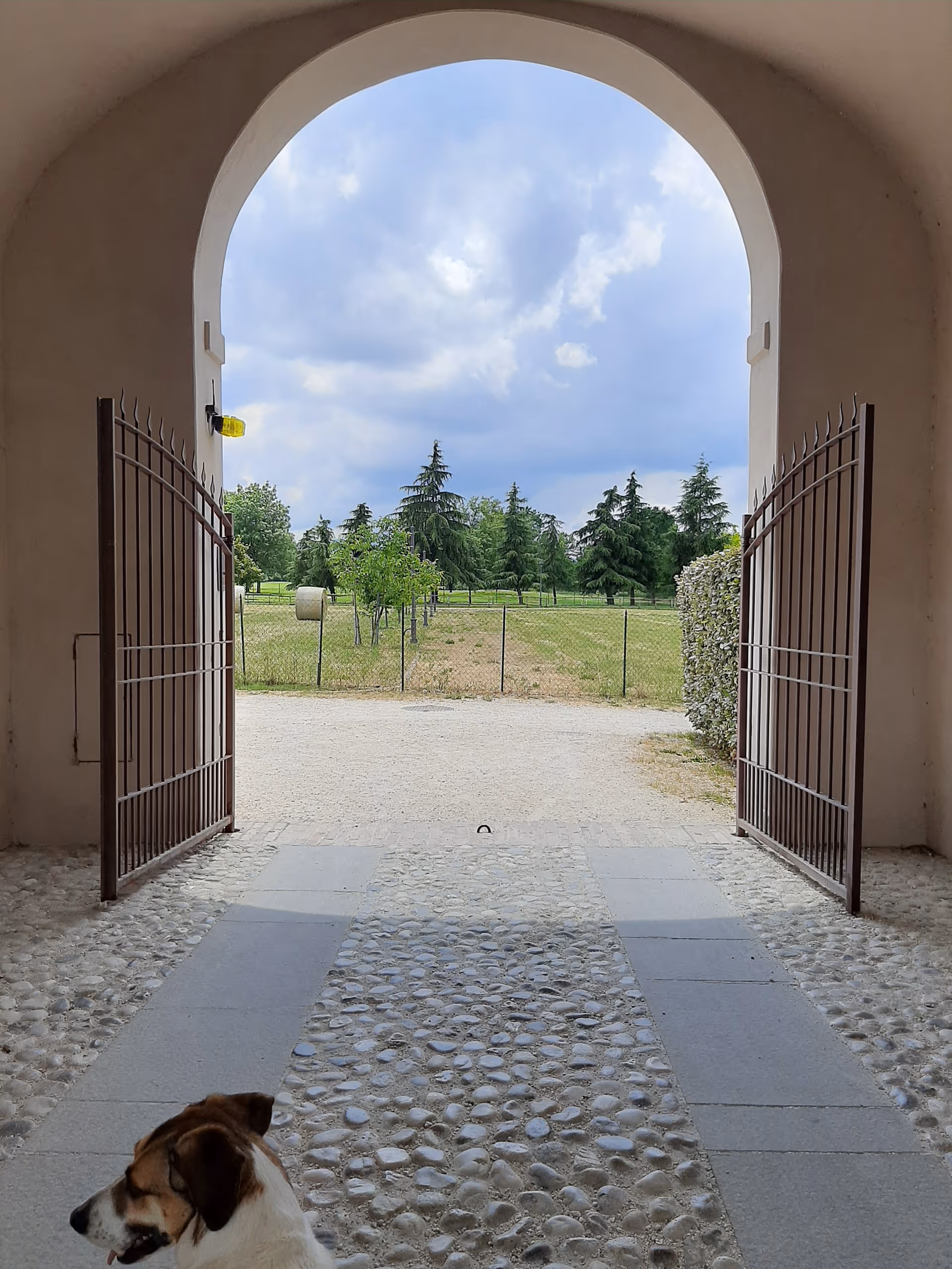 Open iron gates frame a courtyard view with trees, fence, and a dog at the doorstep.