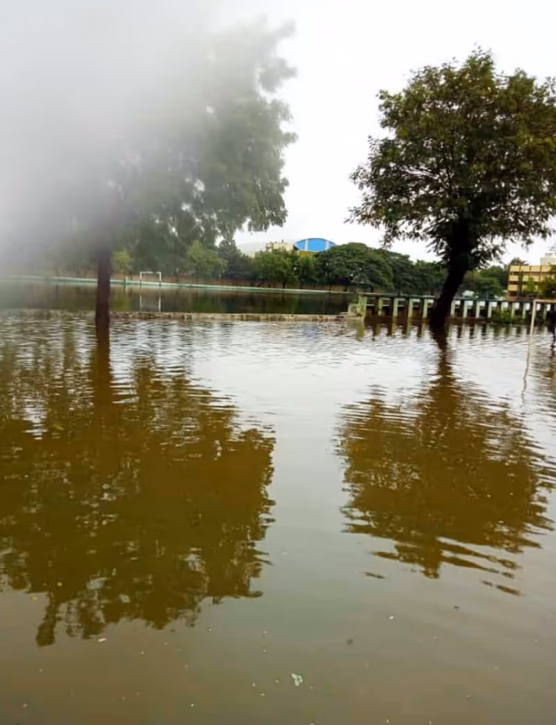 Outdoor view of floodwater around trees and a submerged walkway reflecting in water.