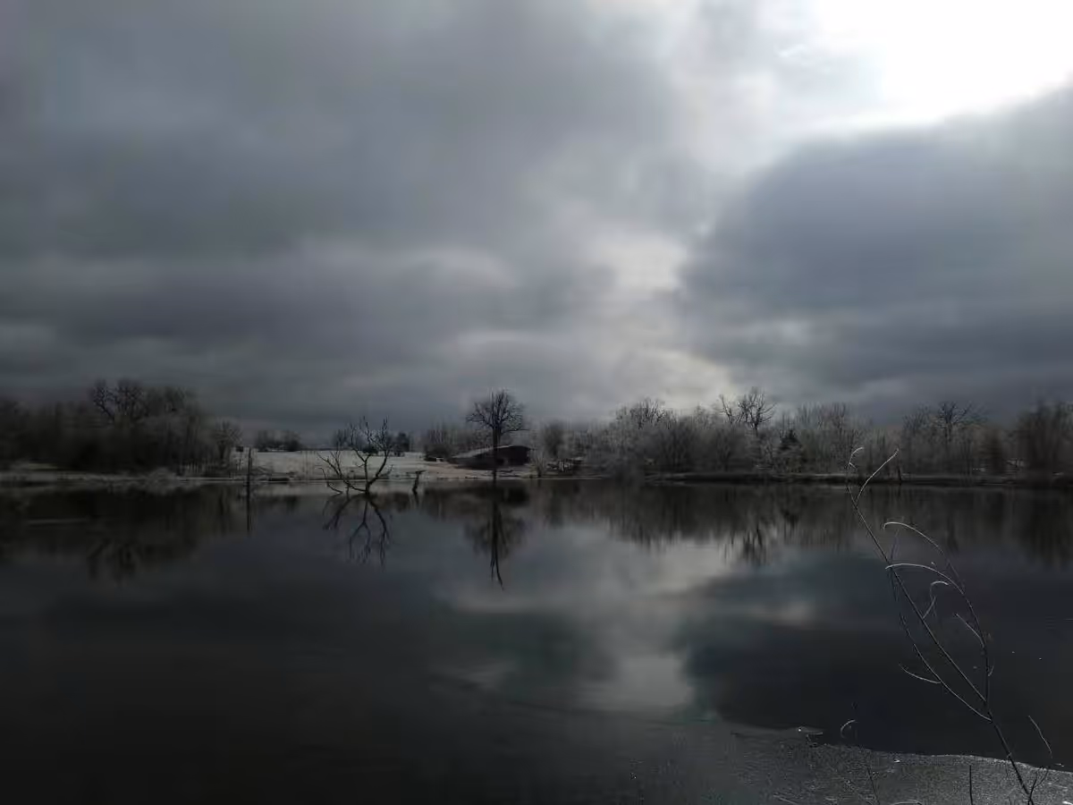 Overcast lakeside scene with leafless trees reflecting on calm water.