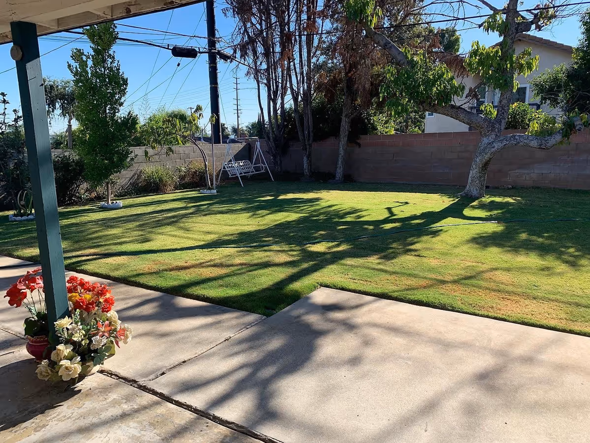 Sunlit backyard with a concrete patio, potted flowers, a grassy lawn, a tree, and a white yard swing by a cinderblock wall.