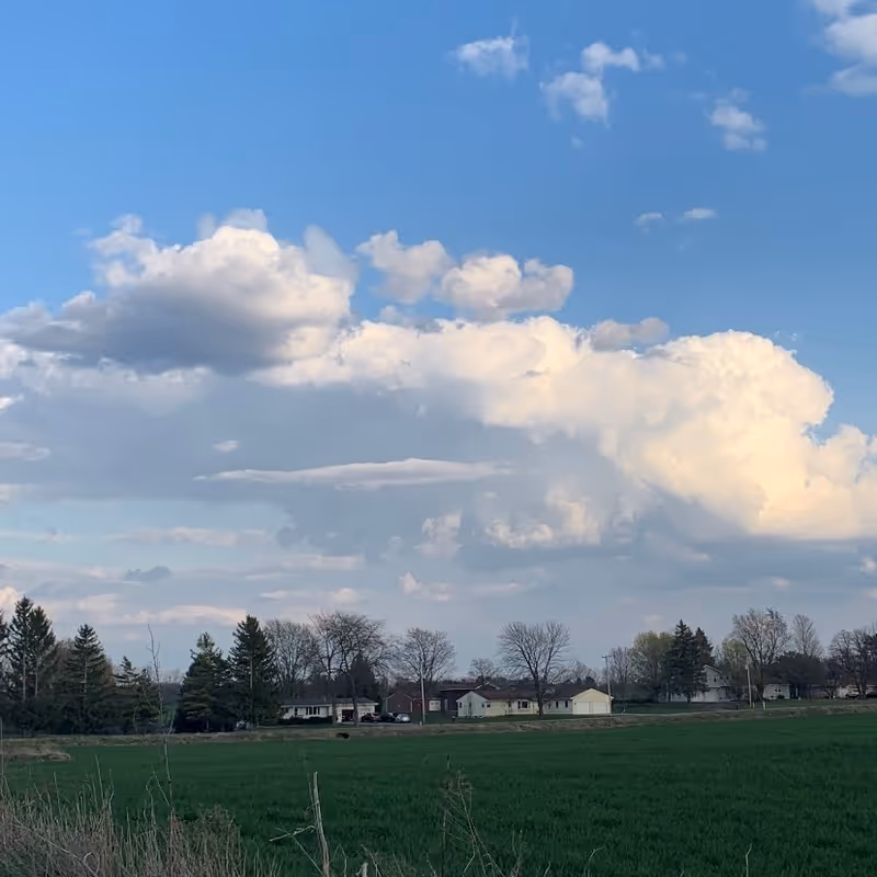 Landscape of green fields, trees, and distant houses under a cloudy blue sky.