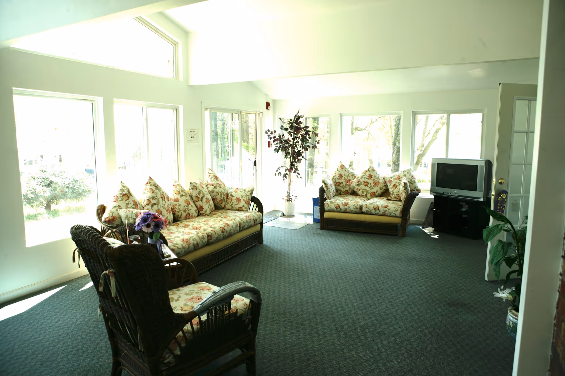 A bright living room with large windows letting in natural light. The room features two floral-patterned sofas, two wicker chairs with floral cushions, a potted plant, and a television on a stand. The carpet is green, and there is a small table with a flower arrangement between the chairs.