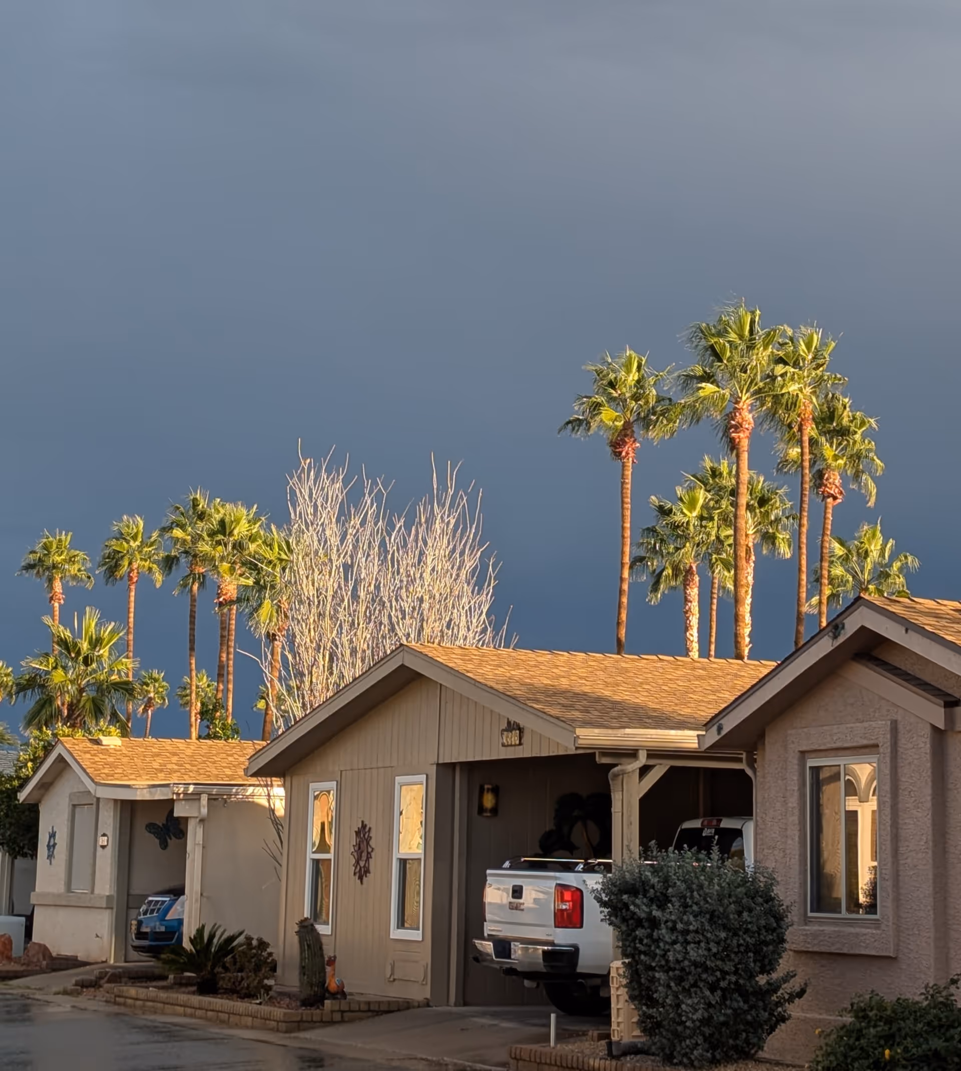 Row of single-story houses with palm trees and a white pickup in a driveway.