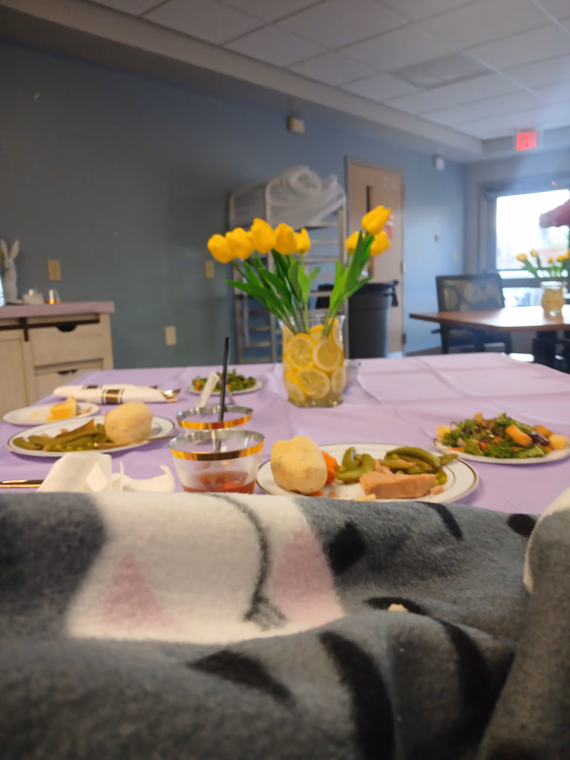 Dining room table with meals on a purple tablecloth and a vase of yellow tulips.