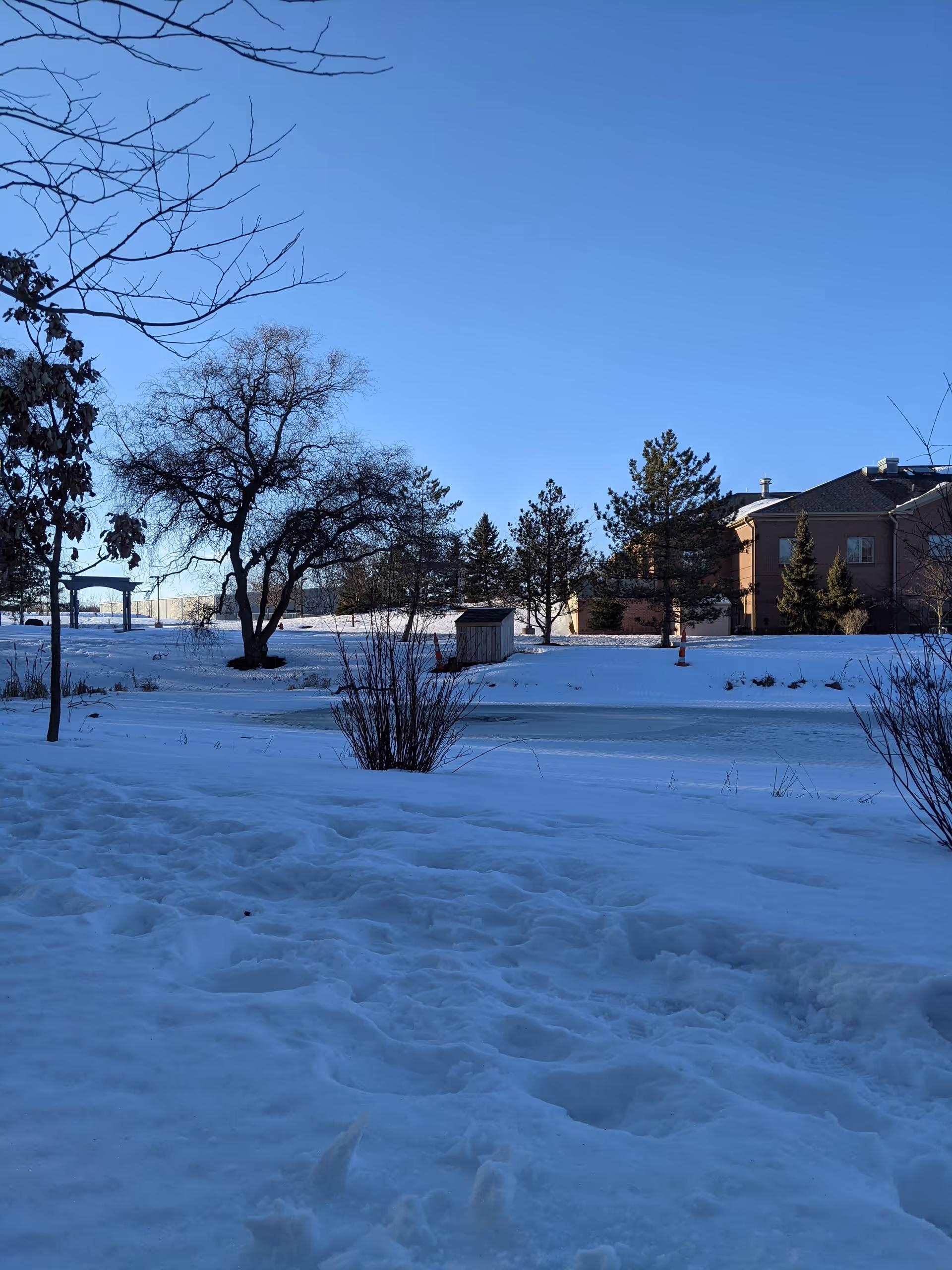 Snowy outdoor courtyard with bare trees and a brick building in the background.