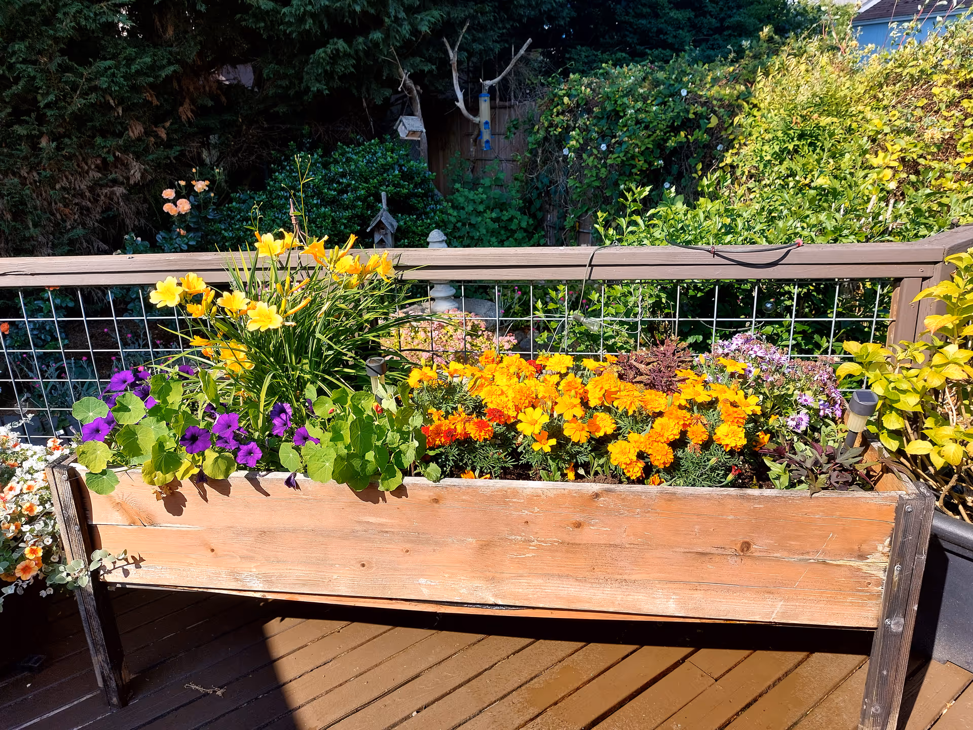 Wooden planter filled with colorful flowers on a deck overlooking a garden.