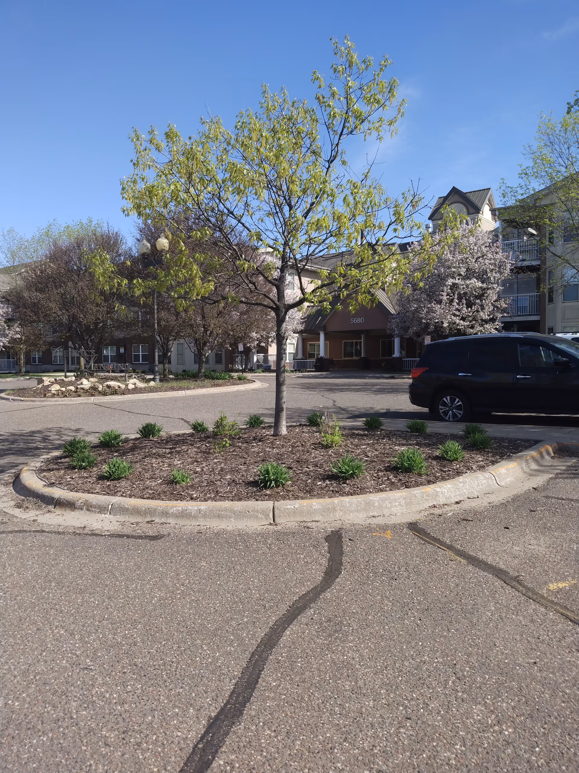 Exterior view of Apollo Homes senior living facility with landscaped island and parked vehicle