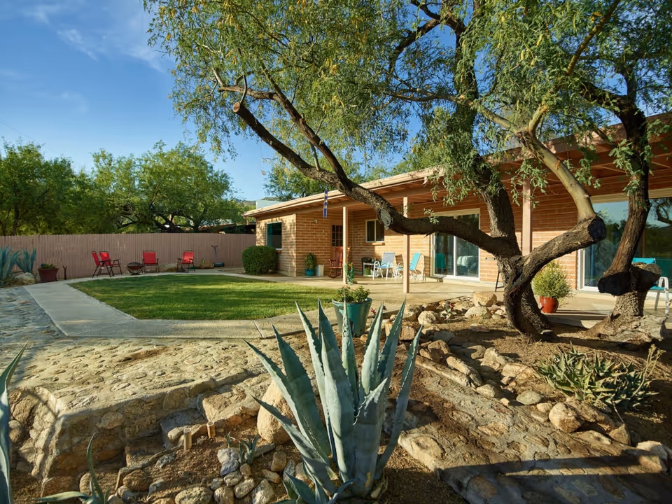 Sunny backyard of a single-story brick building with a lawn, patio chairs, large trees, and desert landscaping with agave plants.