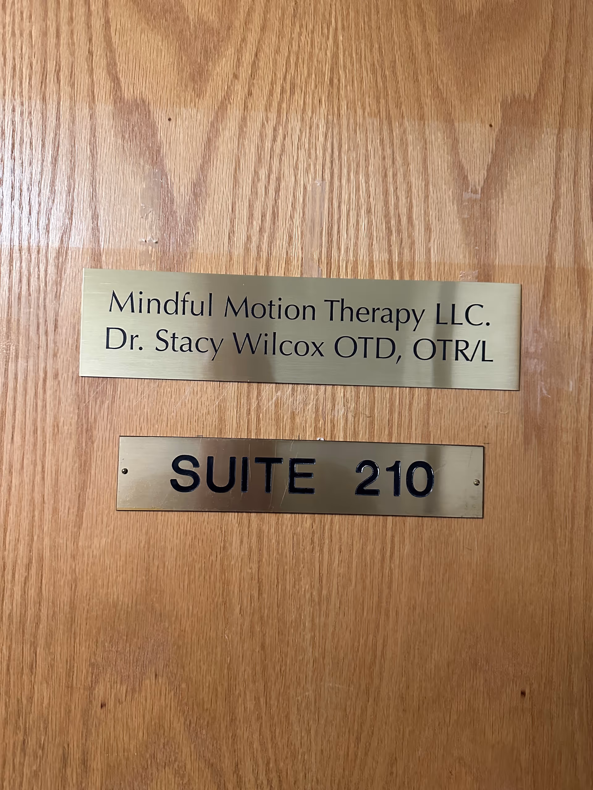 Gold plaque on a wooden door reads Mindful Motion Therapy LLC and Suite 210.