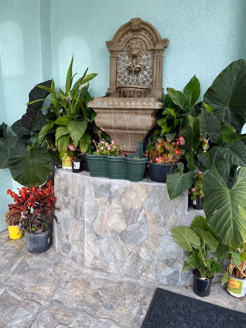 A decorative stone water fountain mounted on a light blue wall, surrounded by various potted plants with green leaves and some with pink flowers, placed on a stone-tiled platform and floor.