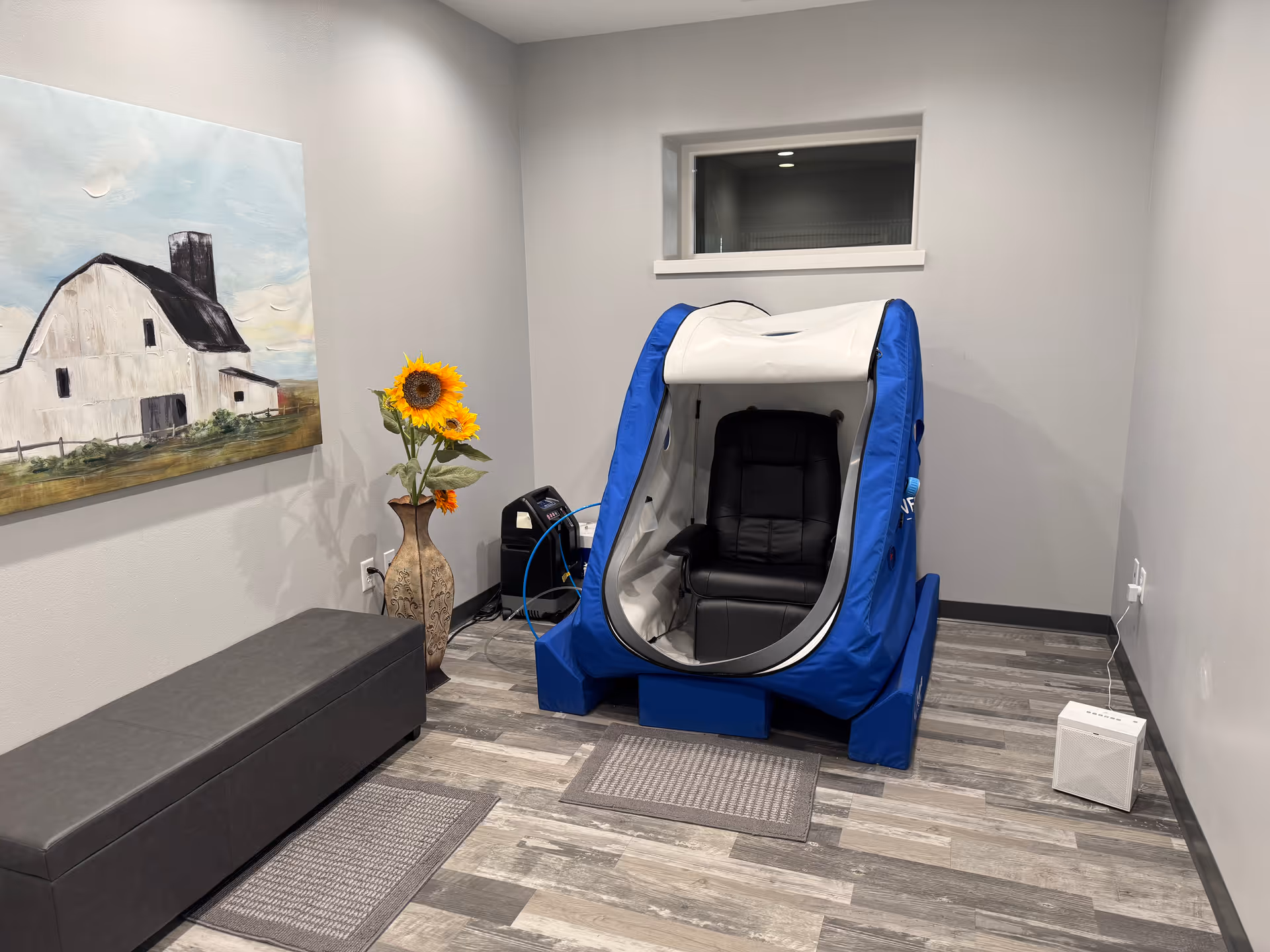 A small interior room features a blue pod chair, bench, sunflowers, and wall art.