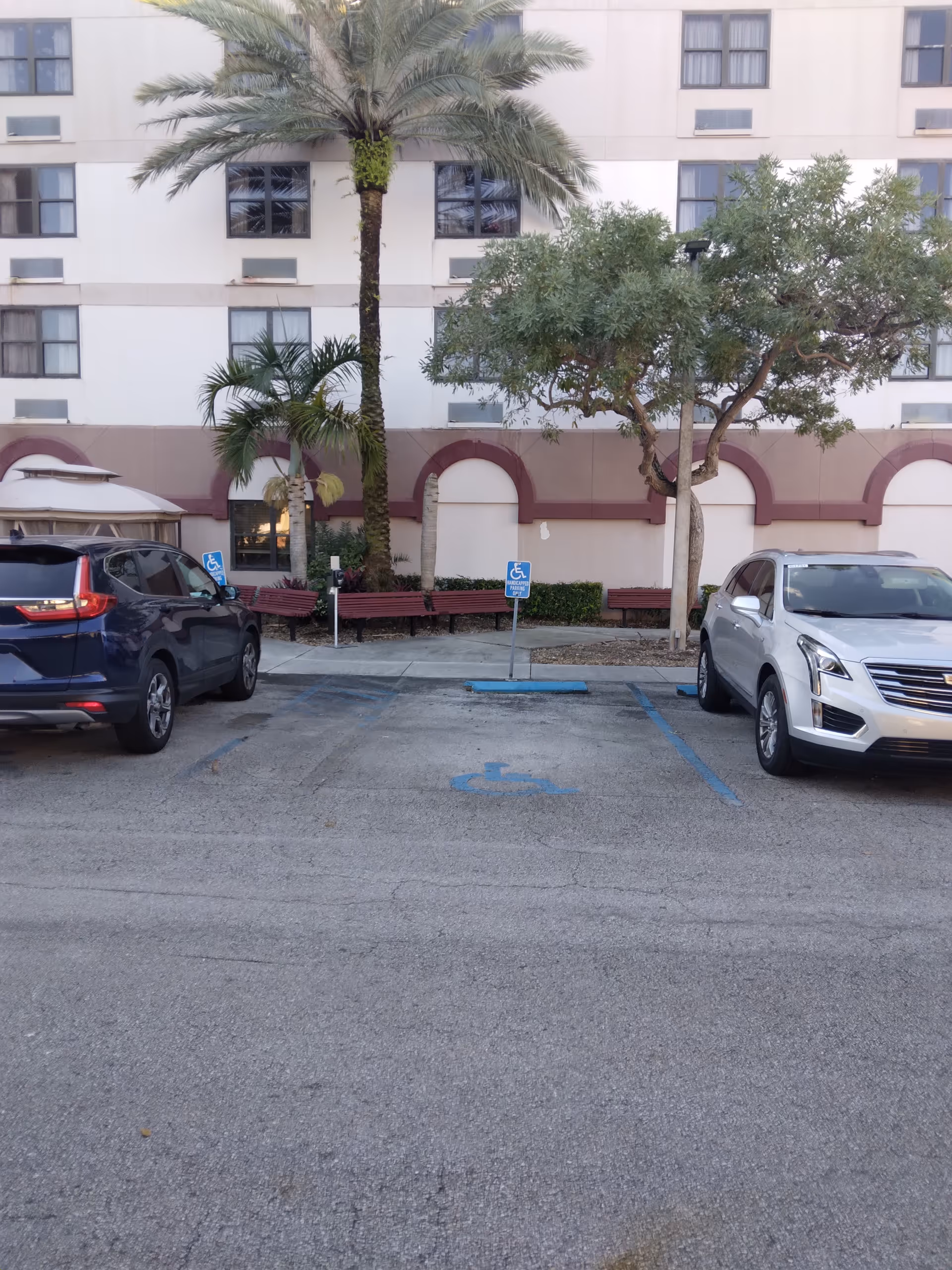 Exterior view of South Dade Nursing and Rehab Center with palm trees, benches, and parked cars.