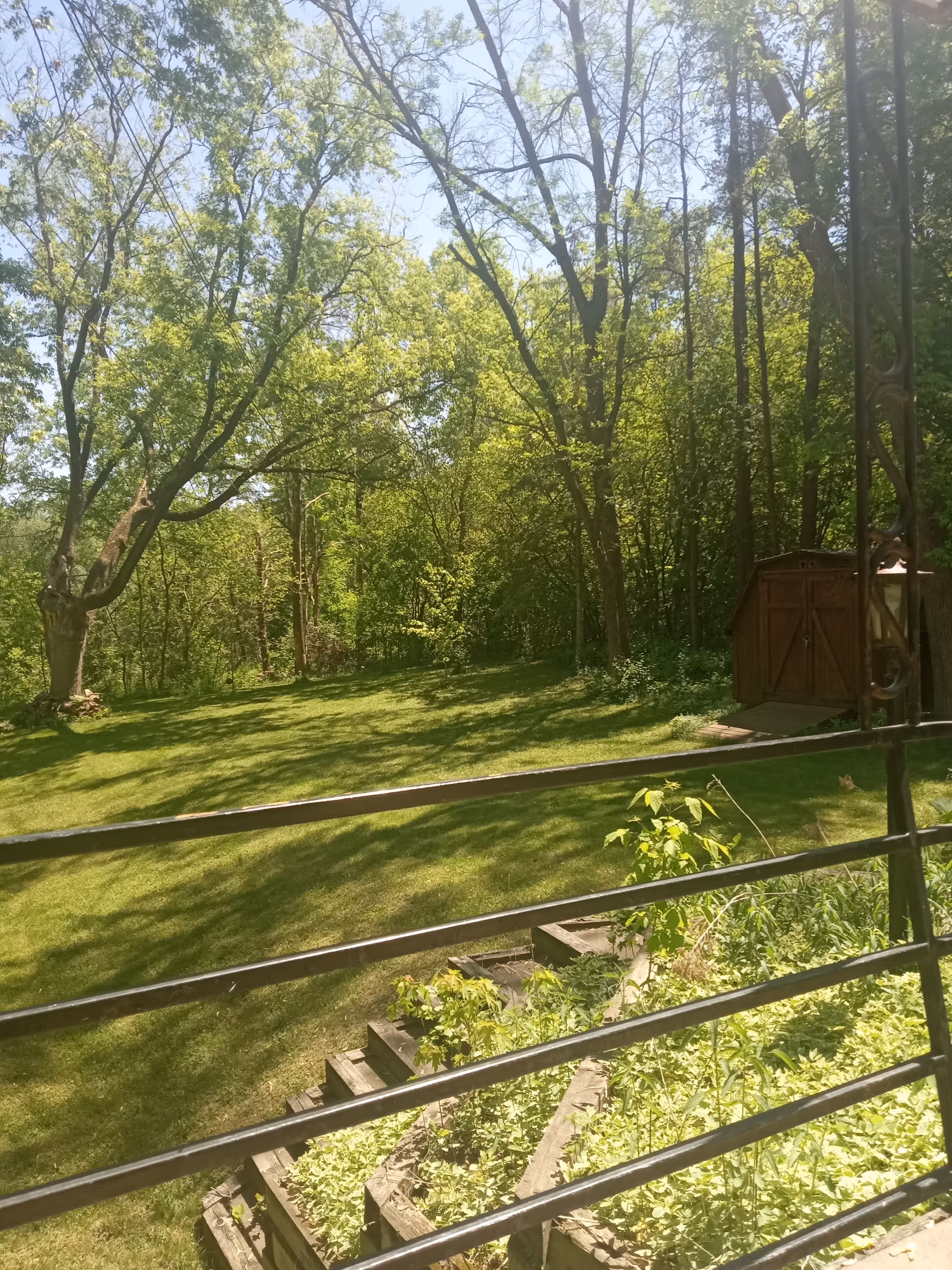 Sunlit backyard of a senior living garden with trees, lawn, and a wooden shed.