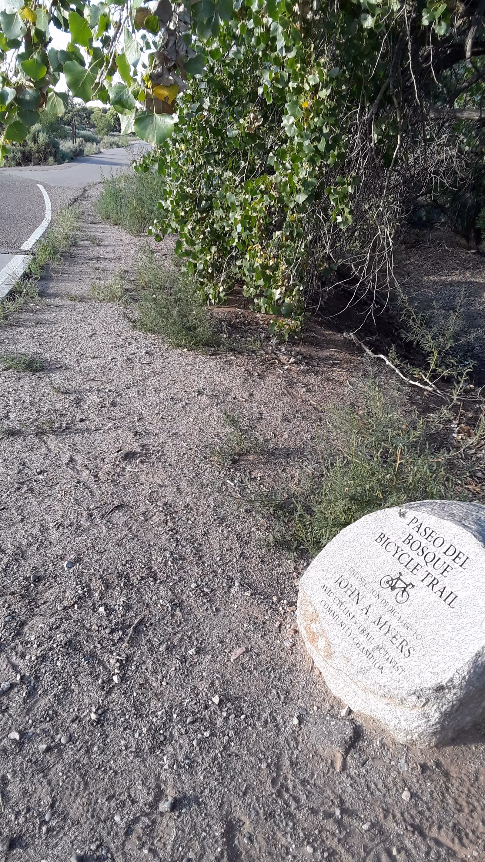 Gravel trail beside a paved road under a tree, featuring a bicycle trail marker stone.