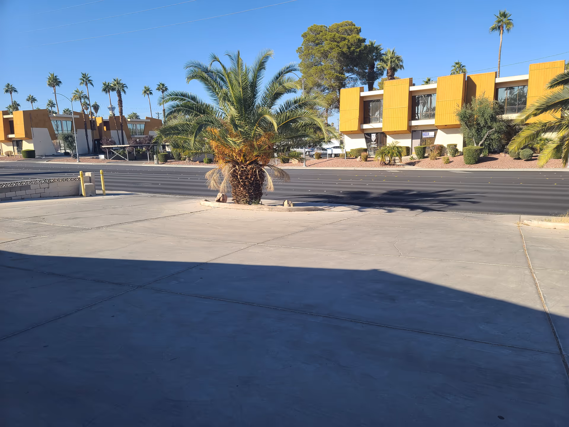 Exterior view of a beige building with orange panels, palm trees, and a wide concrete foreground.