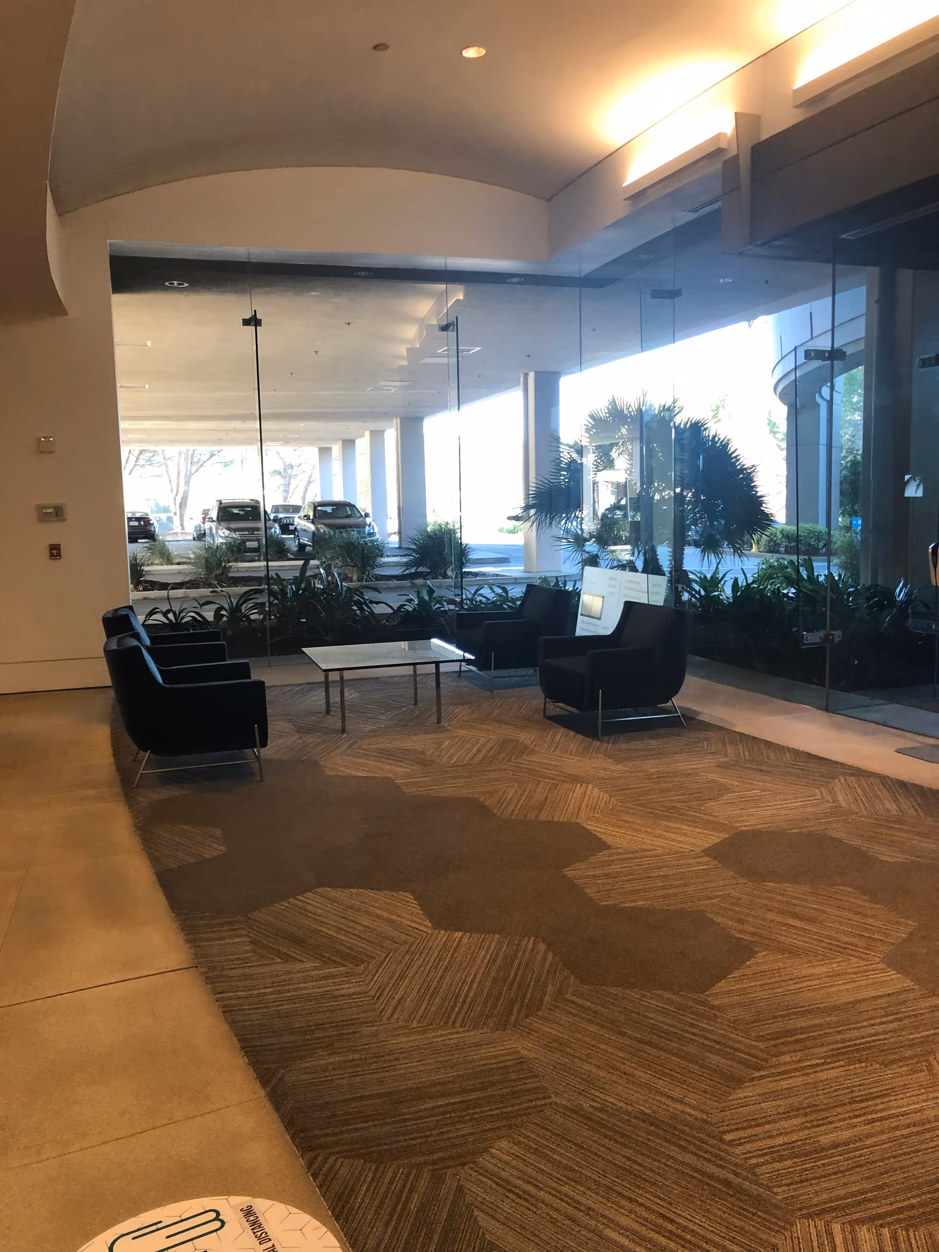 Modern interior lobby with glass walls, potted plants, and black seating around a coffee table.