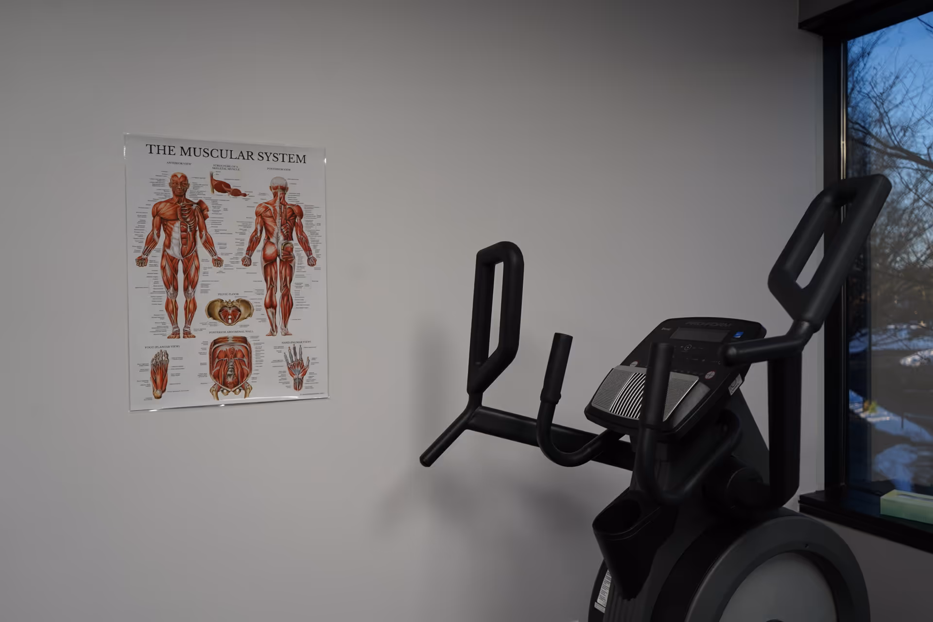 Small fitness room with an exercise bike and anatomy poster on the wall